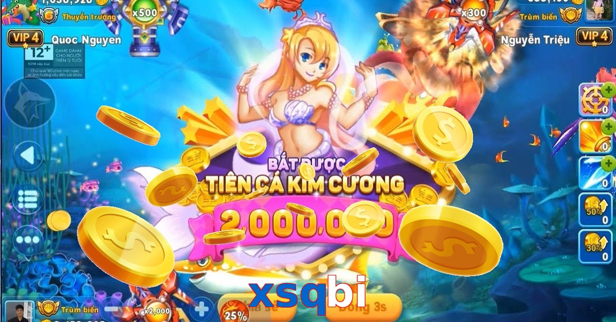 xsqbi